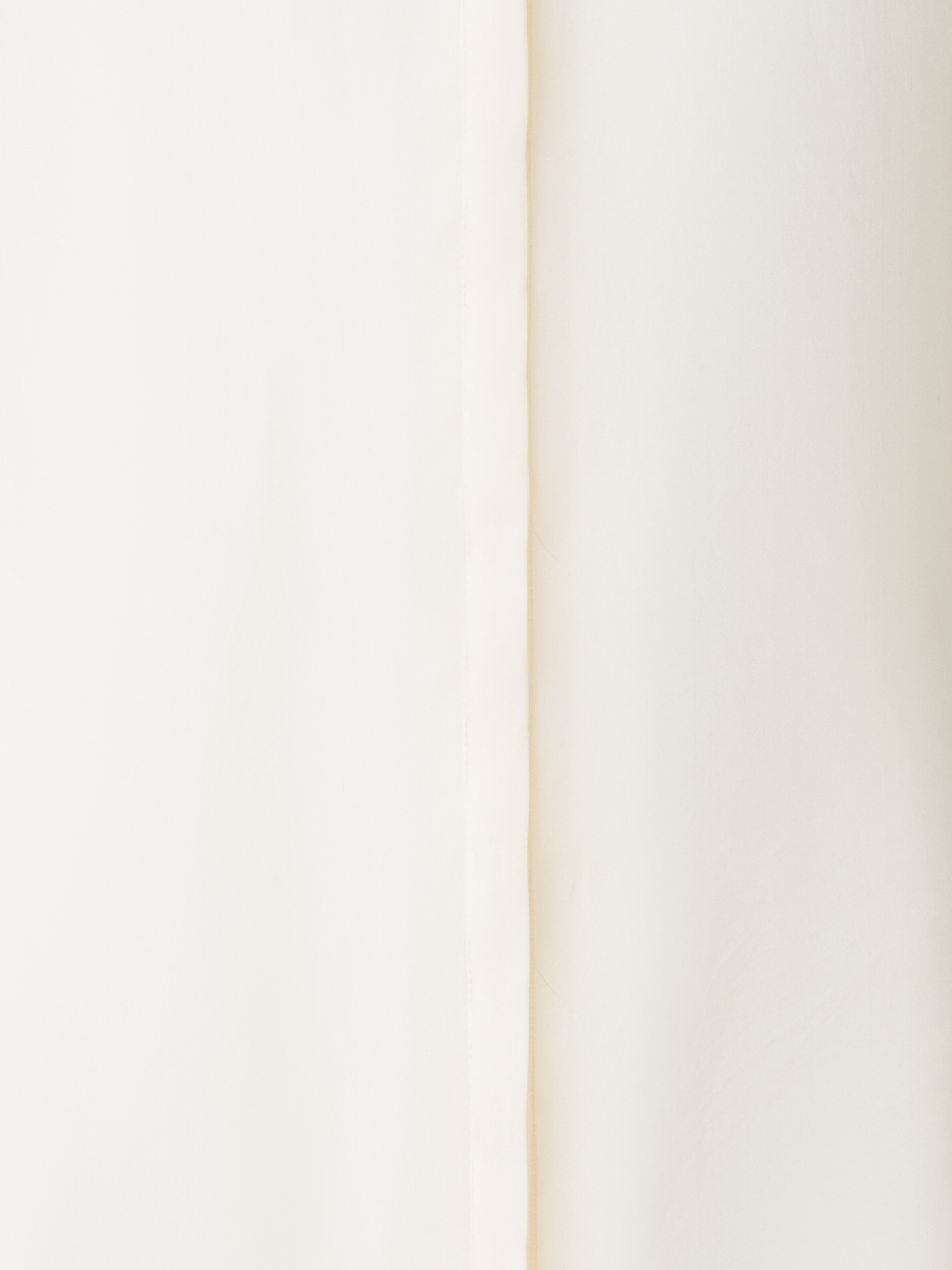 Designer Sheer Silk Organza Blouse - neutral - ecru - white