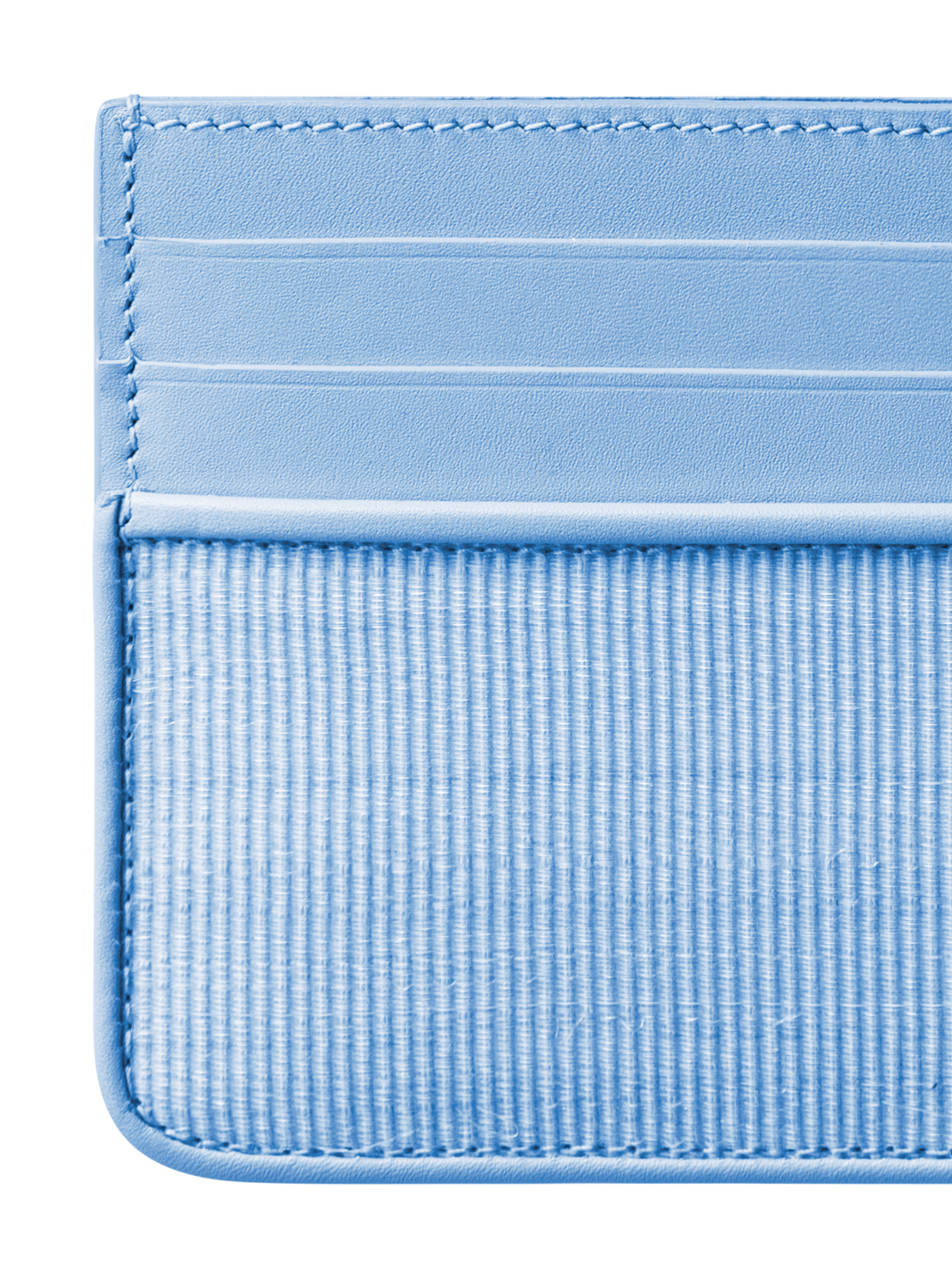 Designer Card Holder in Horsehair and Leather - blue