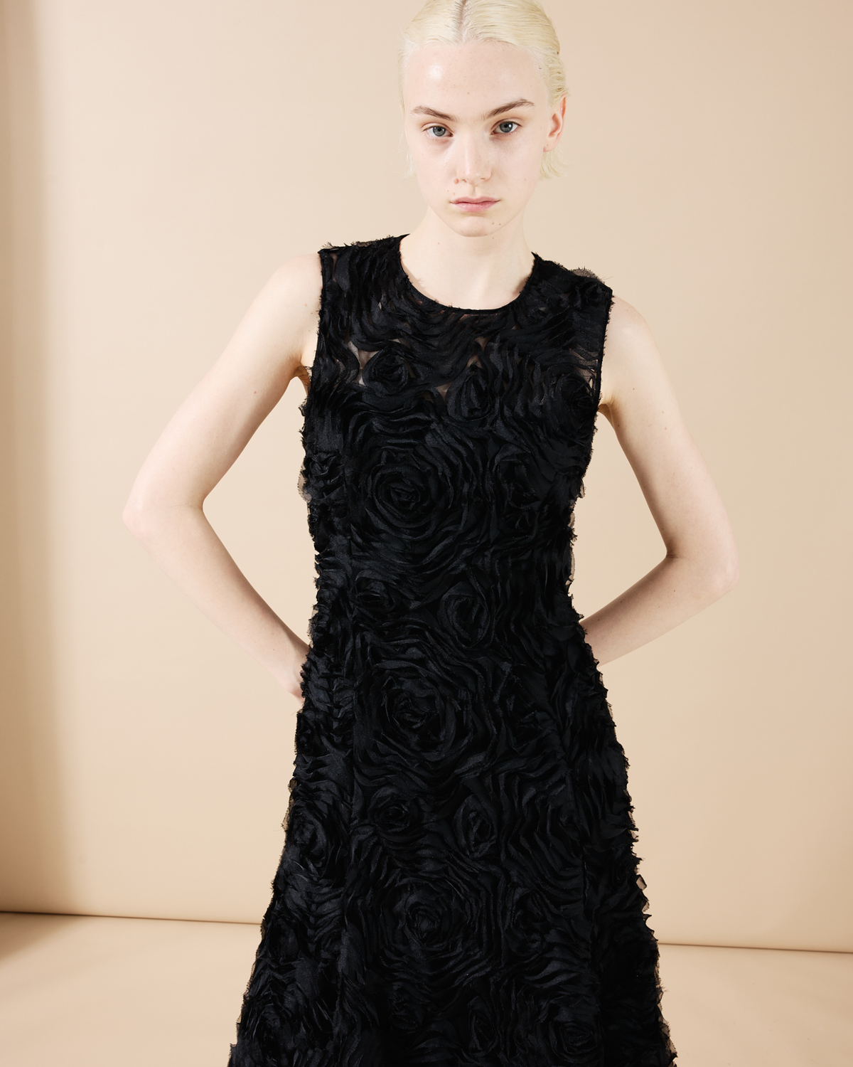 Flared Midi Dress in 3D Carnation Embroidery Akris Inc. Flared Midi Dress in 3D Carnation Embroidery Akris Inc.