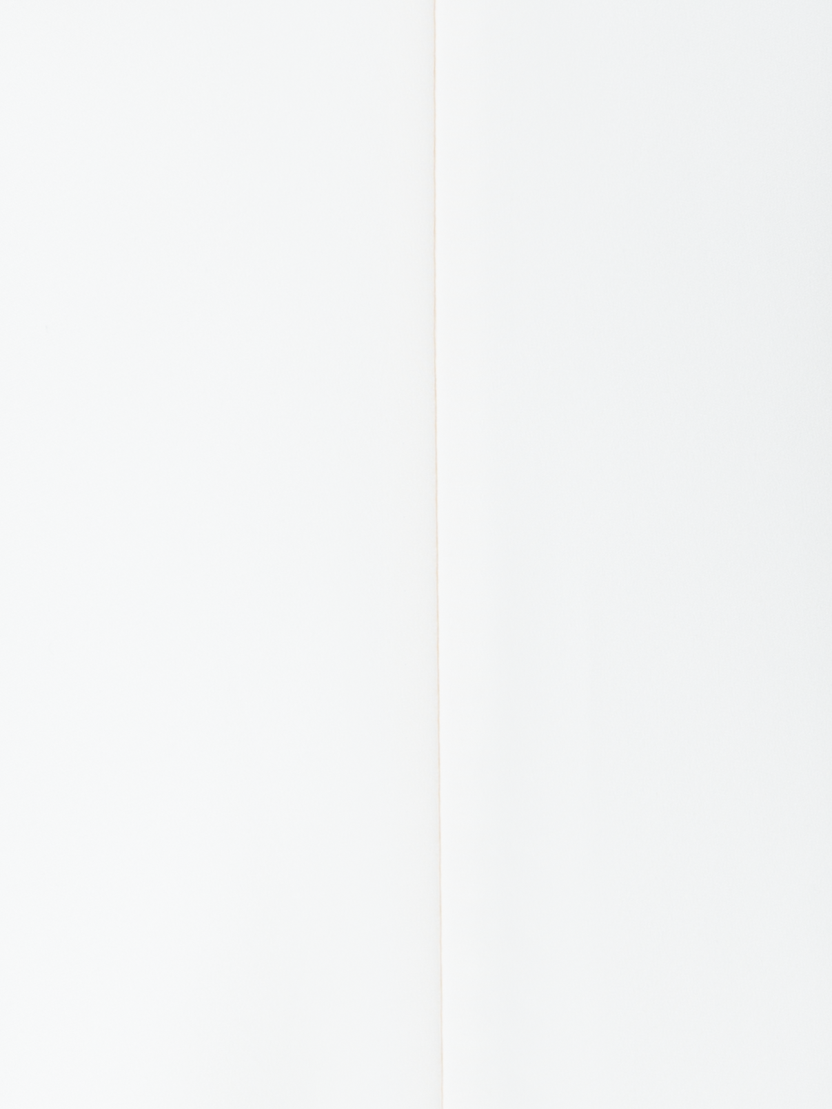 Designer Silk Blouse with Asymmetrical Sleeve - neutral - ecru - white