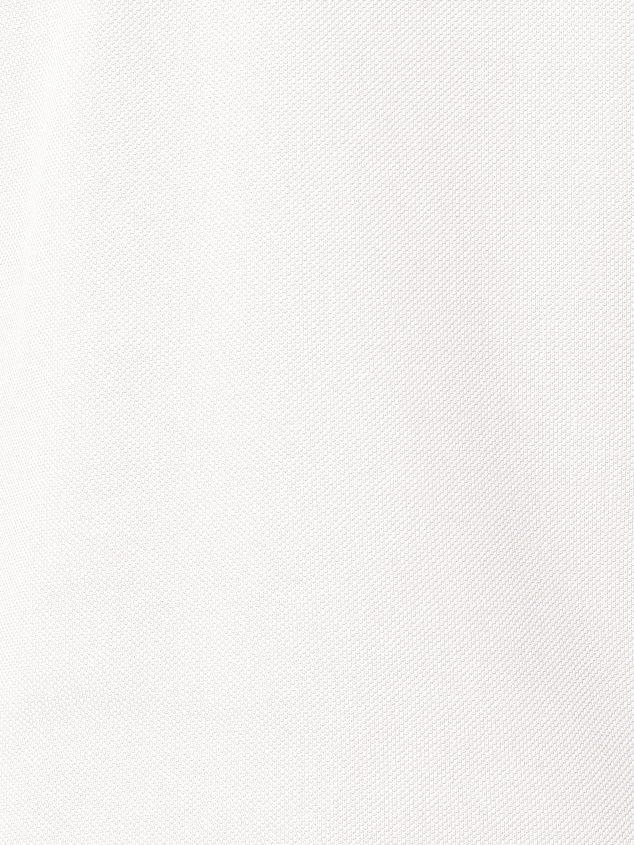 Designer Cotton Knit Polo Shirt - white