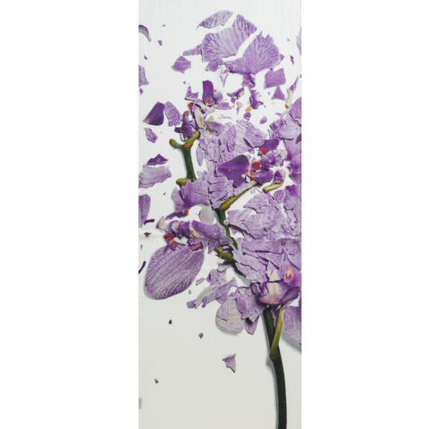 Scarf Cashmere Silk Scattered Orchid Print