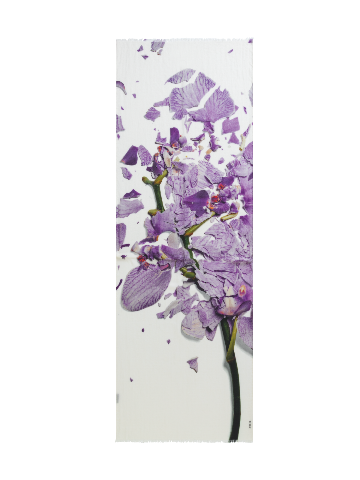 Designer Scarf Cashmere Silk Scattered Orchid Print - multicolor