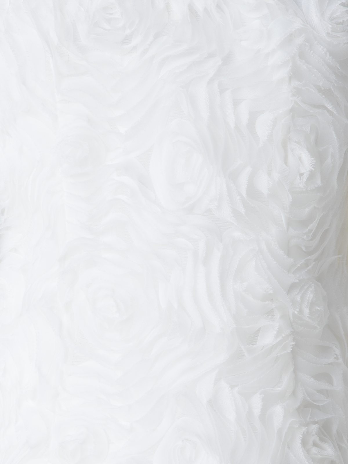 Designer Sleeveless Blouse with 3D Carnation Embroidery - neutral - ecru - white