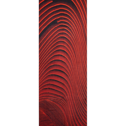 Curves print scarf