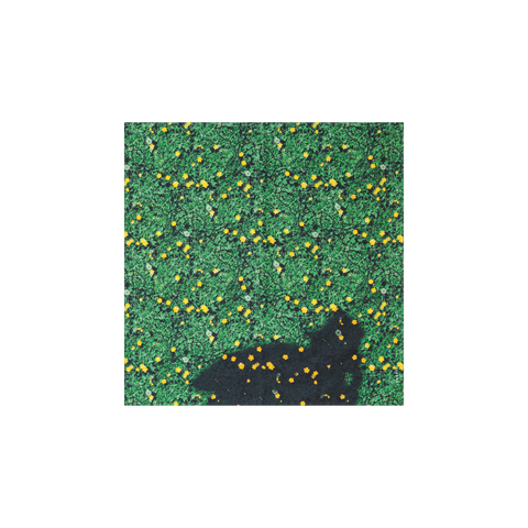 Scarf in Silk with Buttercups Print