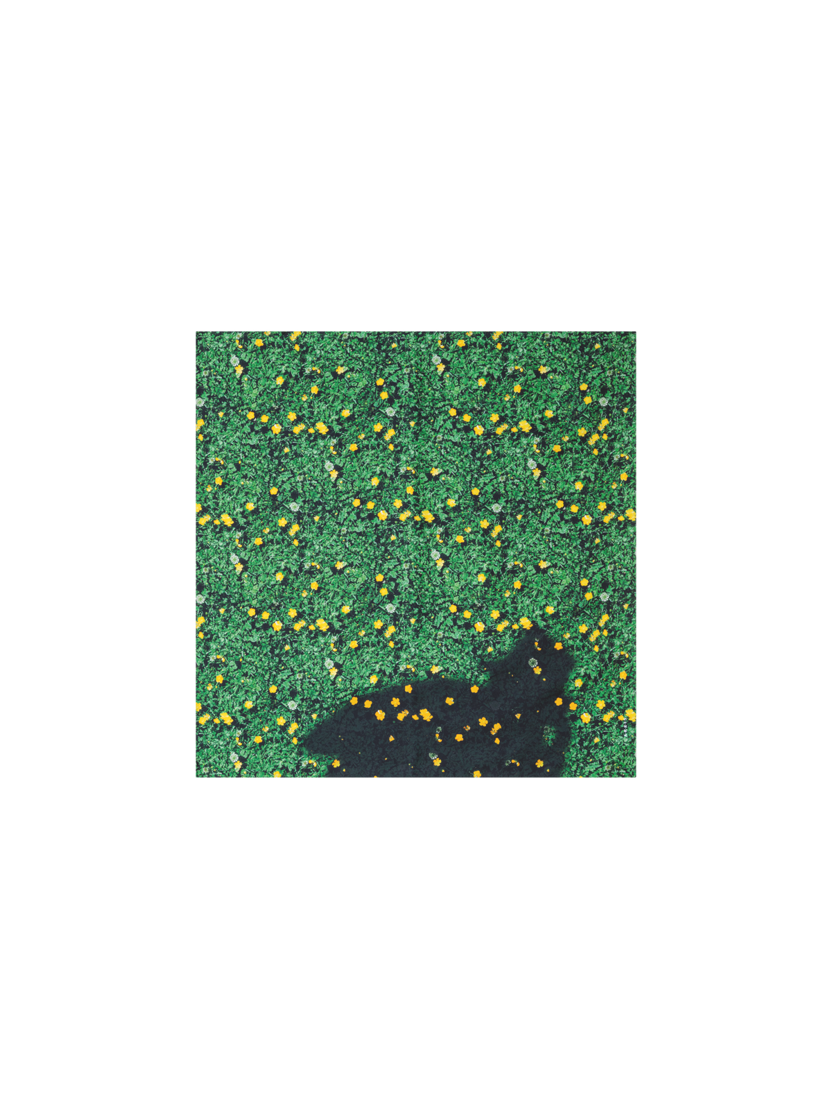 Designer Scarf in Silk with Buttercups Print - green