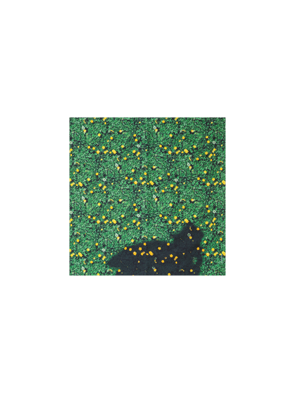 Designer Scarf in Silk with Buttercups Print - green