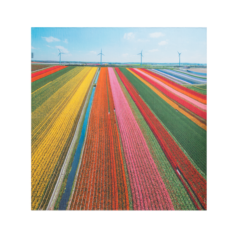 Scarf in Cotton and Silk with Wind Turbin Print