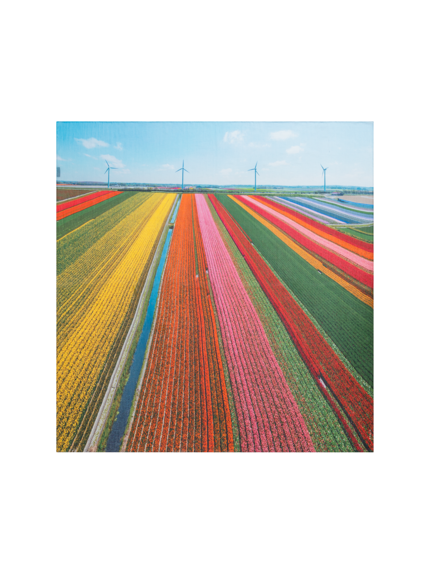 Designer Scarf in Cotton and Silk with Wind Turbine Print - multicolor