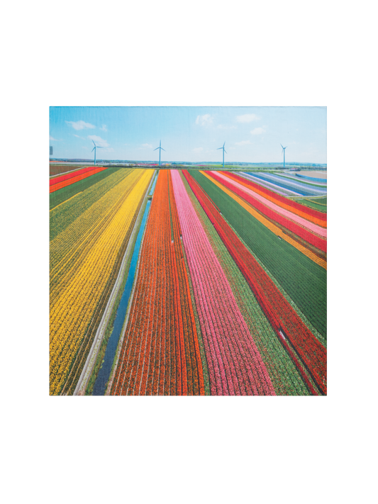 Designer Scarf in Cotton and Silk with Wind Turbine Print - multicolor