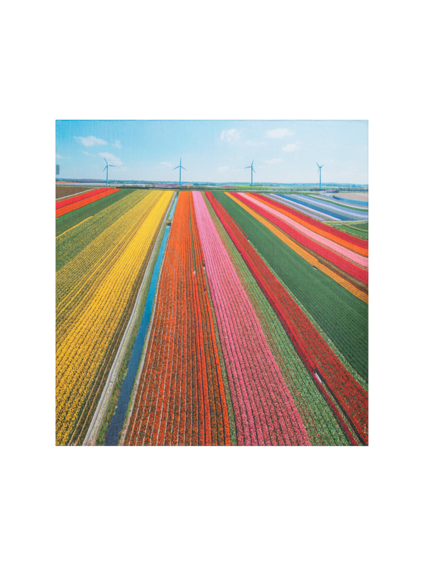Designer Scarf in Cotton and Silk with Wind Turbine Print - multicolor