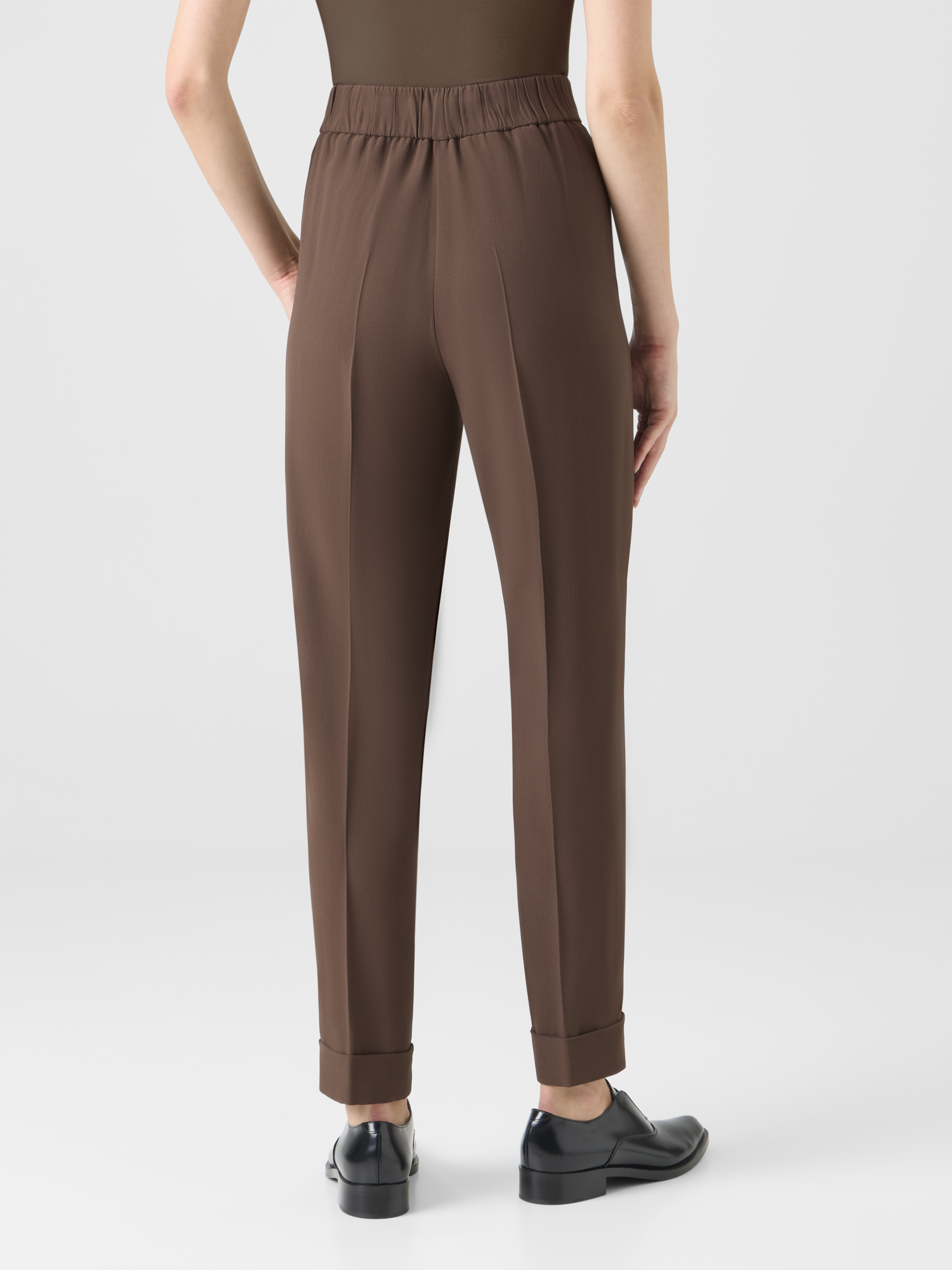 Designer Tapered Ankle Length Pants with Elastic Waist - brown 