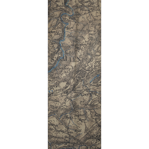 Cashmere Silk Scarf with St. Gallen Map Print