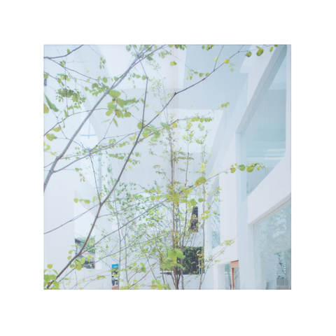 Cotton Silk Scarf with House N Trees Print