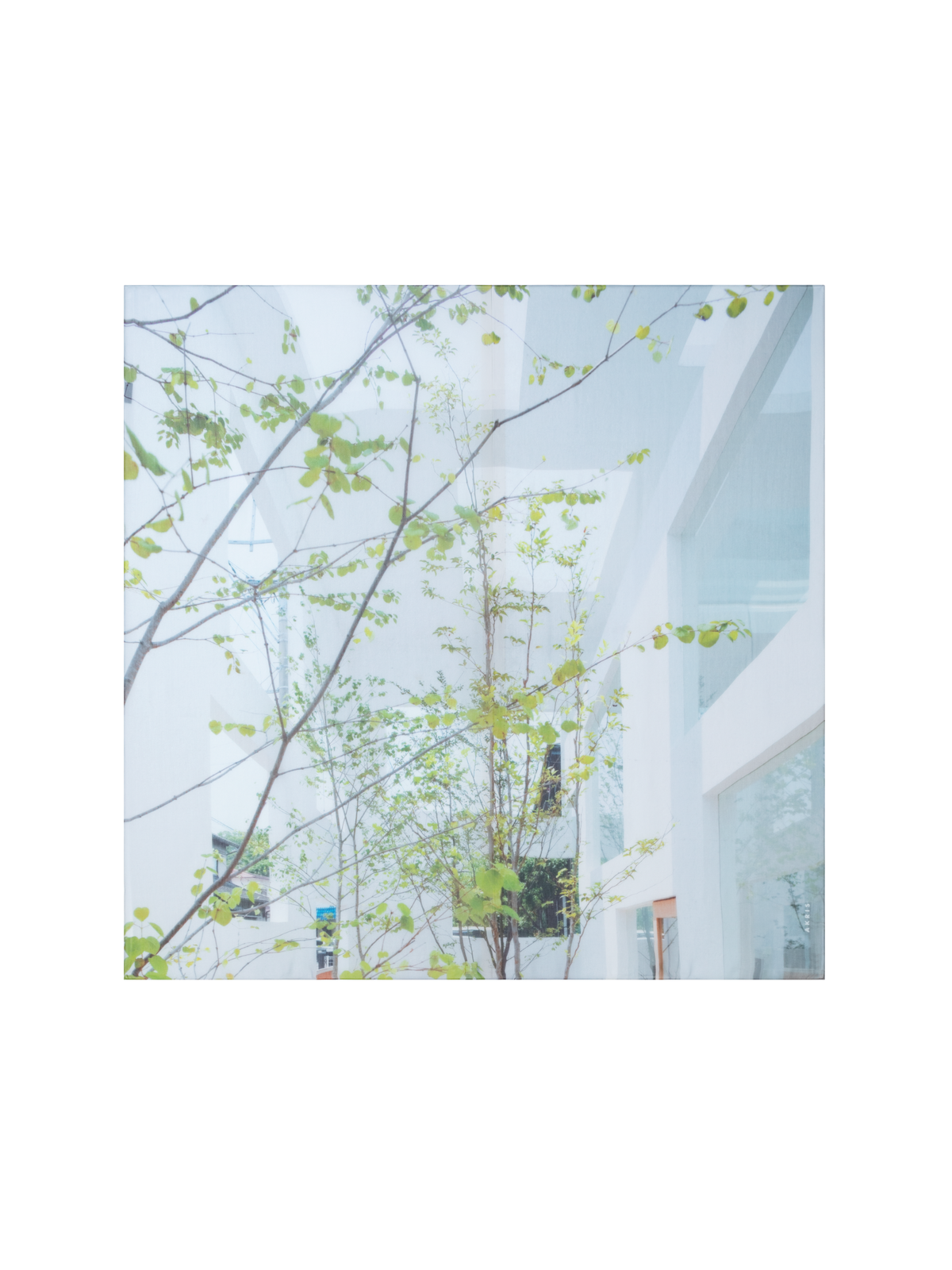 Designer Cotton Silk Scarf with House N Trees Print - multicolor