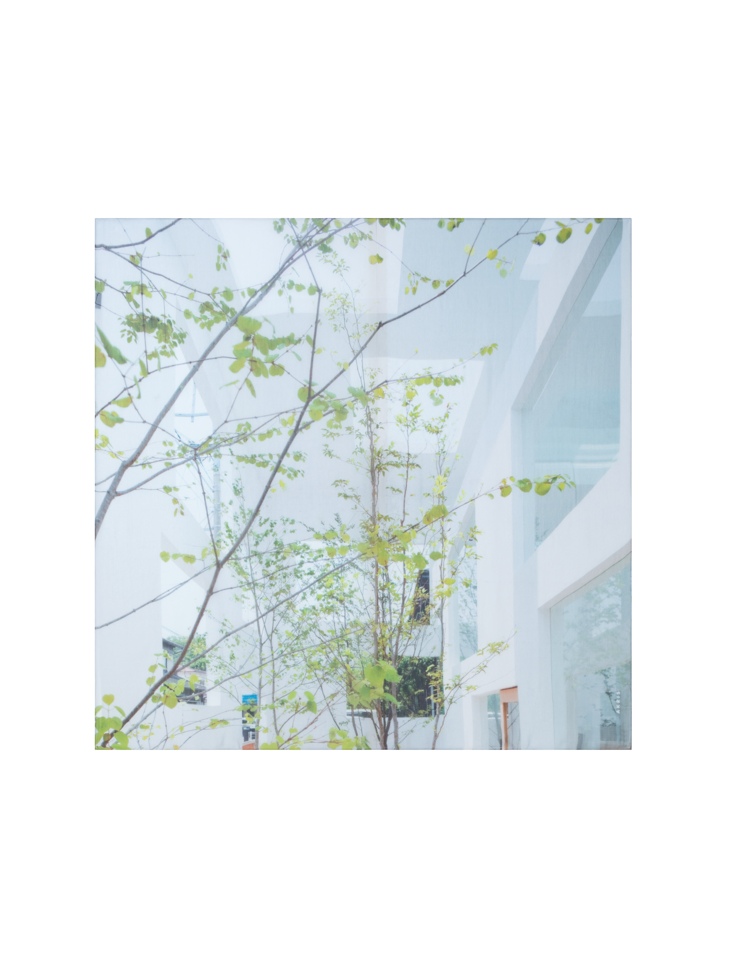 Designer Cotton Silk Scarf with House N Trees Print - multicolor