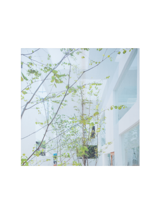 Designer Cotton Silk Scarf with House N Trees Print - multicolor