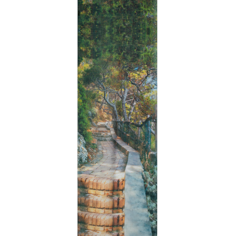 Scarf in Cashmere and Silk with Via Krupp Print