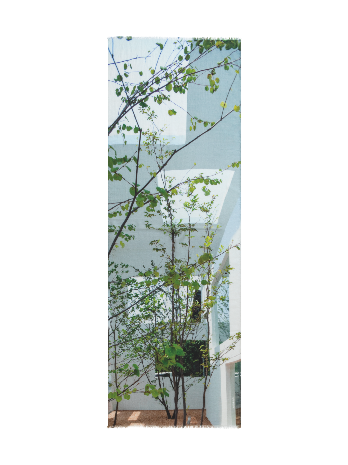 Designer Cashmere Silk Scarf with House N Trees Print - multicolor