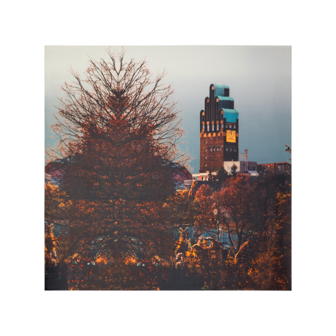 Wedding Tower Print Scarf