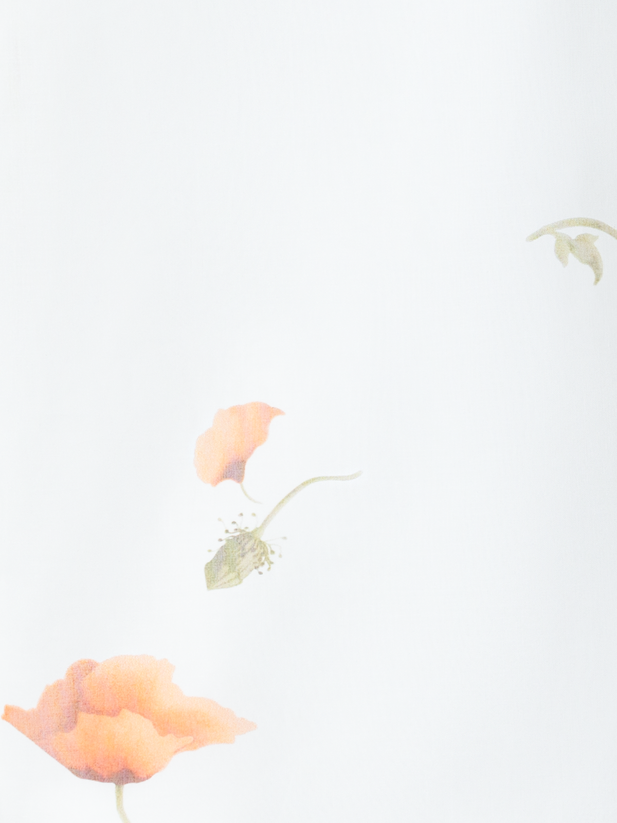 Designer Boxy Cotton Blouse with Anemone Print - neutral - pastel - multicolor - ecru - white