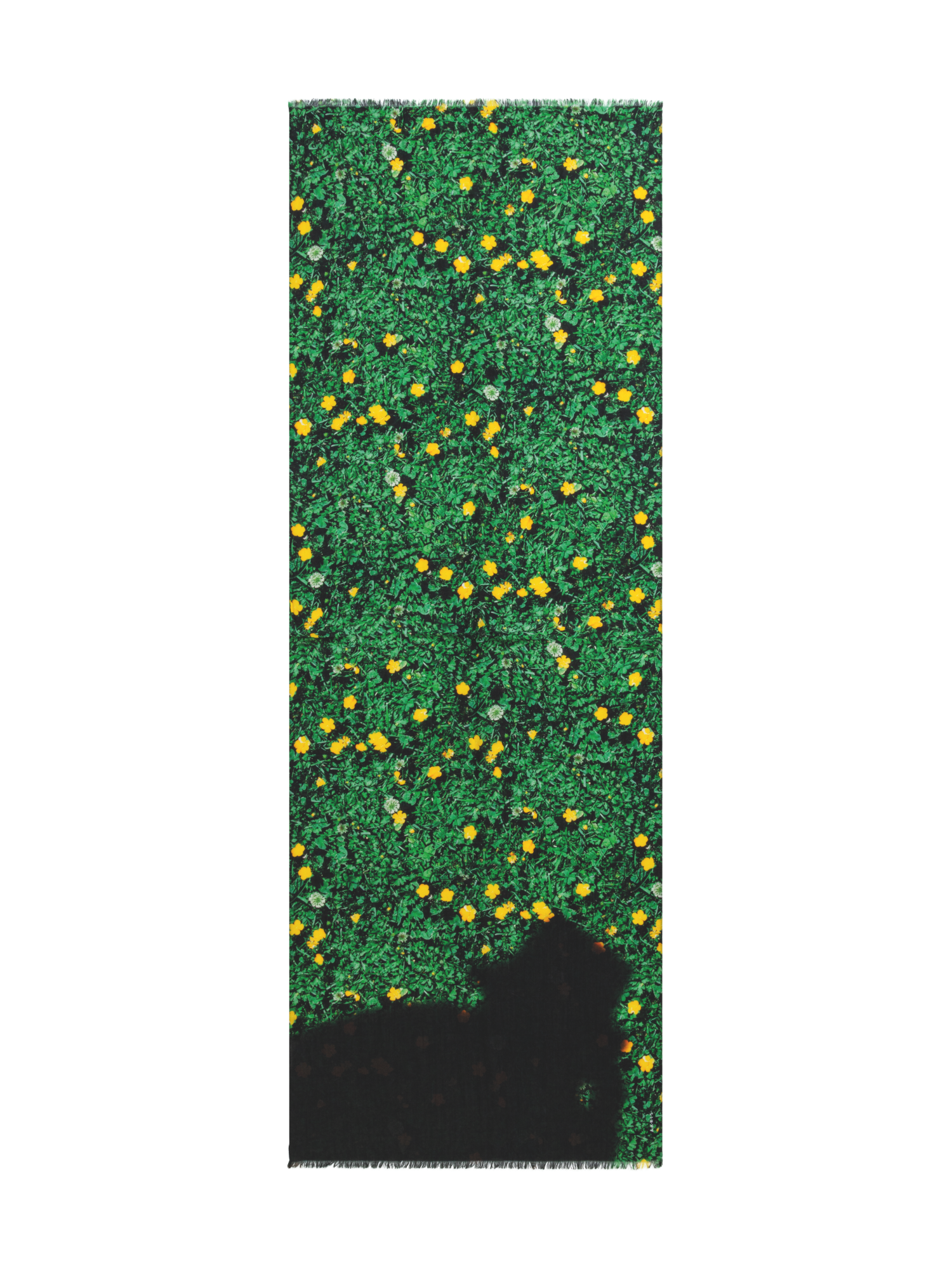 Designer Cashmere Silk Scarf with Buttercups Print - green