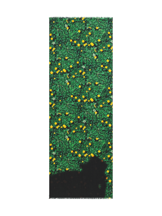 Designer Cashmere Silk Scarf with Buttercups Print - green