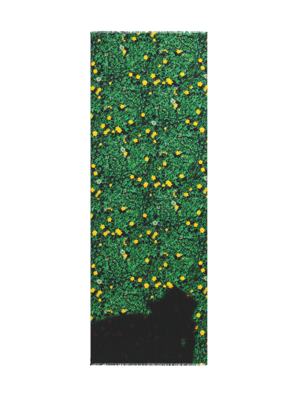 Designer Cashmere Silk Scarf with Buttercups Print - green