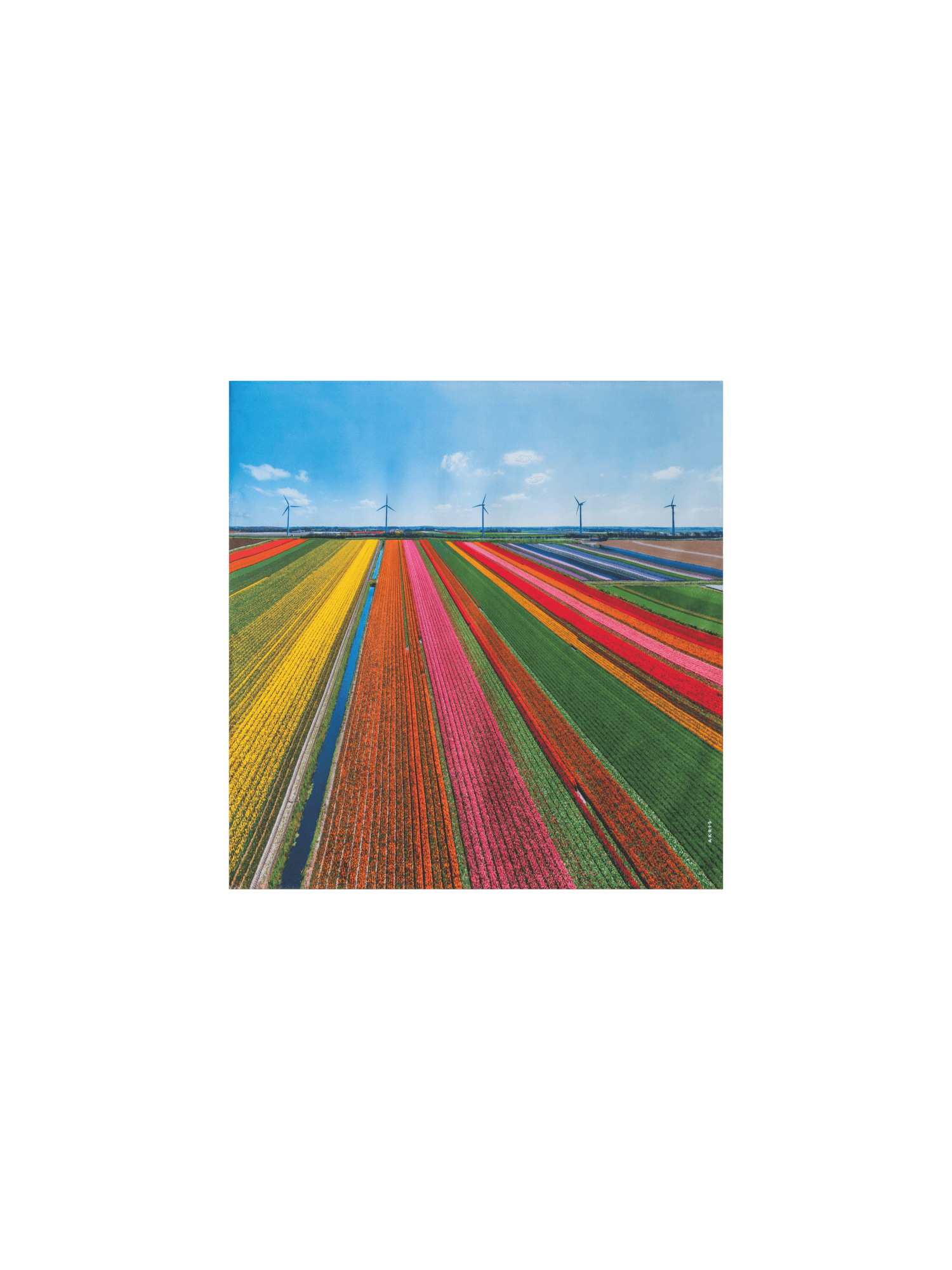 Scarf in Silk with Wind Turbine Print – Akris Inc.