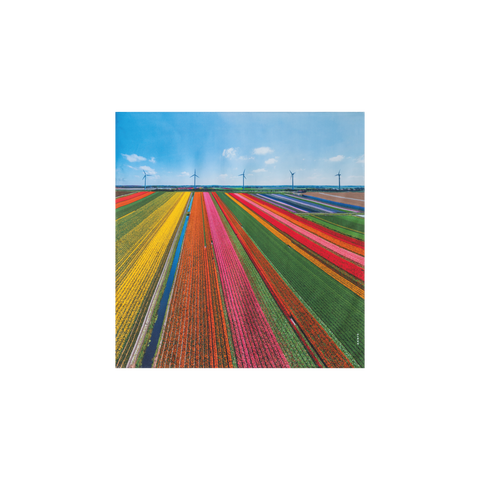 Scarf in Silk with Wind Turbine Print
