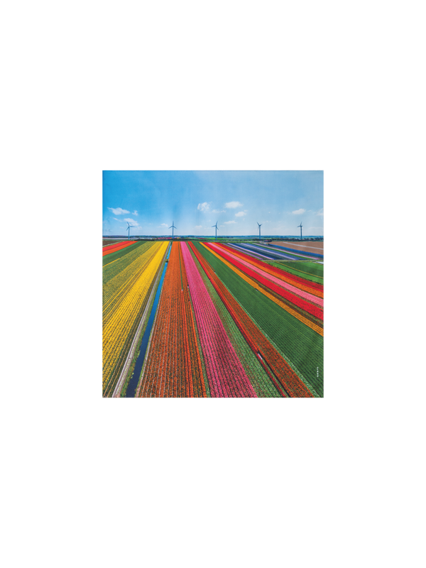 Designer Scarf in Silk with Wind Turbine Print - multicolor